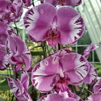 &copy; Franziska Bergmann (Eberhardt TRAVEL)