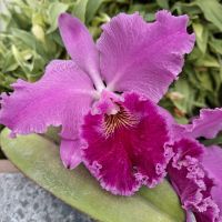 &copy; Franziska Bergmann (Eberhardt TRAVEL)