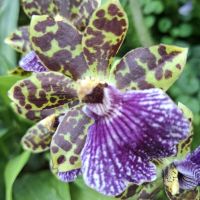 &copy; Franziska Bergmann (Eberhardt TRAVEL)