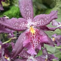 &copy; Franziska Bergmann (Eberhardt TRAVEL)