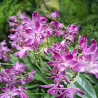 &copy; Franziska Bergmann (Eberhardt TRAVEL)