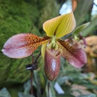 &copy; Franziska Bergmann (Eberhardt TRAVEL)