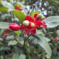 &copy; Franziska Bergmann (Eberhardt TRAVEL)