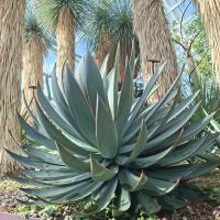 &copy; Franziska Bergmann (Eberhardt TRAVEL)