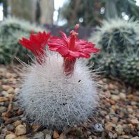 &copy; Franziska Bergmann (Eberhardt TRAVEL)