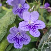 &copy; Franziska Bergmann (Eberhardt TRAVEL)