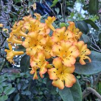 &copy; Franziska Bergmann (Eberhardt TRAVEL)