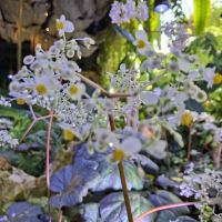 &copy; Franziska Bergmann (Eberhardt TRAVEL)