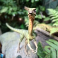 &copy; Franziska Bergmann (Eberhardt TRAVEL)