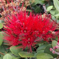 &copy; Franziska Bergmann (Eberhardt TRAVEL)