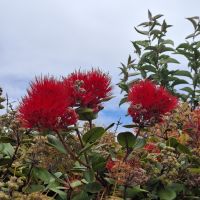 &copy; Franziska Bergmann (Eberhardt TRAVEL)