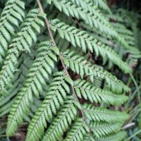 &copy; Franziska Bergmann (Eberhardt TRAVEL)