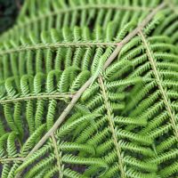 &copy; Franziska Bergmann (Eberhardt TRAVEL)