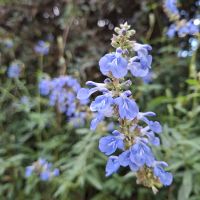 &copy; Franziska Bergmann (Eberhardt TRAVEL)