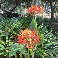 &copy; Franziska Bergmann (Eberhardt TRAVEL)