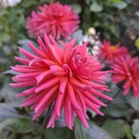 &copy; Franziska Bergmann (Eberhardt TRAVEL)