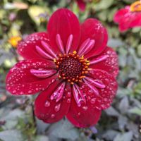 &copy; Franziska Bergmann (Eberhardt TRAVEL)