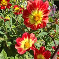 &copy; Franziska Bergmann (Eberhardt TRAVEL)