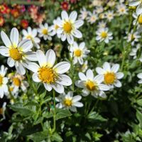 &copy; Franziska Bergmann (Eberhardt TRAVEL)