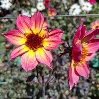 &copy; Franziska Bergmann (Eberhardt TRAVEL)