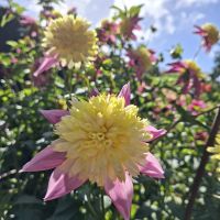 &copy; Franziska Bergmann (Eberhardt TRAVEL)