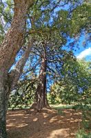 &copy; Franziska Bergmann (Eberhardt TRAVEL)