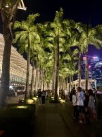 Palmen beim Event Plaza &ndash; &copy; Elisabeth Fox-Maerki (Eberhardt TRAVEL)