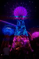 Die Rapsody Show &ndash; &copy; Elisabeth Fox-Maerki (Eberhardt TRAVEL)