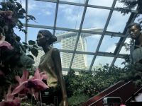 Im Cloude Forest Dom &ndash; &copy; Elisabeth Fox-Maerki (Eberhardt TRAVEL)