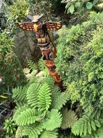 West Küste Kanada in Austellung in Singapur &ndash; &copy; Elisabeth Fox-Maerki (Eberhardt TRAVEL)