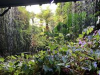 Hinter dem Wasserfall &ndash; &copy; Elisabeth Fox-Maerki (Eberhardt TRAVEL)