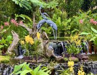 Das ist ein Orchideengarten ! &ndash; &copy; Elisabeth Fox-Maerki (Eberhardt TRAVEL)