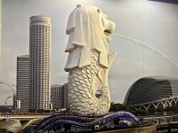 Das Merlin-Bild &ndash; &copy; Elisabeth Fox-Maerki (Eberhardt TRAVEL)