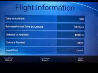 Flug nach Neuseeland, Auckland &ndash; &copy; Elisabeth Fox-Maerki (Eberhardt TRAVEL)