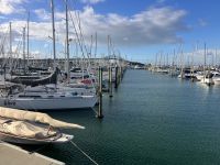 Riesengroßer Yachthafen von Auckland &ndash; &copy; Elisabeth Fox-Maerki (Eberhardt TRAVEL)