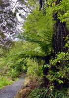 Erste Wanderung &ndash; &copy; Elisabeth Fox-Maerki (Eberhardt TRAVEL)