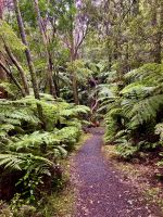 Waldweg &ndash; &copy; Elisabeth Fox-Maerki (Eberhardt TRAVEL)