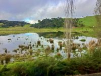 Fahrt nach Cap Rainga &ndash; &copy; Elisabeth Fox-Maerki (Eberhardt TRAVEL)