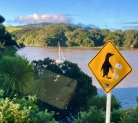 Achtung Pinguine !?!? &ndash; &copy; Elisabeth Fox-Maerki (Eberhardt TRAVEL)