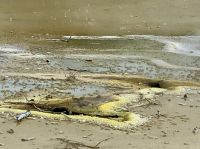 Schwefel und heiße Quellen &ndash; &copy; Elisabeth Fox-Maerki (Eberhardt TRAVEL)