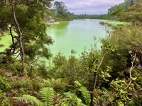 Green Lake &ndash; &copy; Elisabeth Fox-Maerki (Eberhardt TRAVEL)