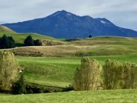 Das ist Neuseeland &ndash; &copy; Elisabeth Fox-Maerki (Eberhardt TRAVEL)