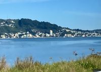 Wellington &ndash; &copy; Elisabeth Fox-Maerki (Eberhardt TRAVEL)