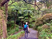 Im Botanischen Garten 2 Std Wanderung &ndash; &copy; Elisabeth Fox-Maerki (Eberhardt TRAVEL)