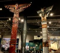 Maori Pfaehle &ndash; &copy; Elisabeth Fox-Maerki (Eberhardt TRAVEL)