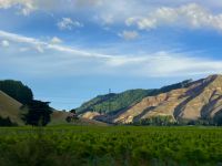 Noch mehr Reben &ndash; &copy; Elisabeth Fox-Maerki (Eberhardt TRAVEL)