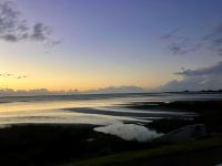 An der Westküste der Suedinsel &ndash; &copy; Elisabeth Fox-Maerki (Eberhardt TRAVEL)