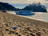 Mit dem Schiff zu den Wanderungen &ndash; &copy; Elisabeth Fox-Maerki (Eberhardt TRAVEL)