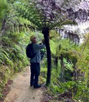 Silberfarnbaum &ndash; &copy; Elisabeth Fox-Maerki (Eberhardt TRAVEL)