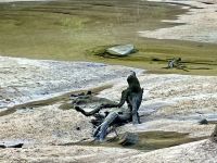 Gestrandete Meerjungfrau &ndash; &copy; Elisabeth Fox-Maerki (Eberhardt TRAVEL)